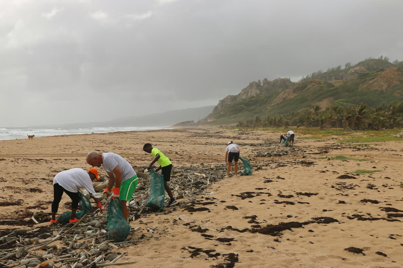 Bénévoles lors d'un nettoyage de plage